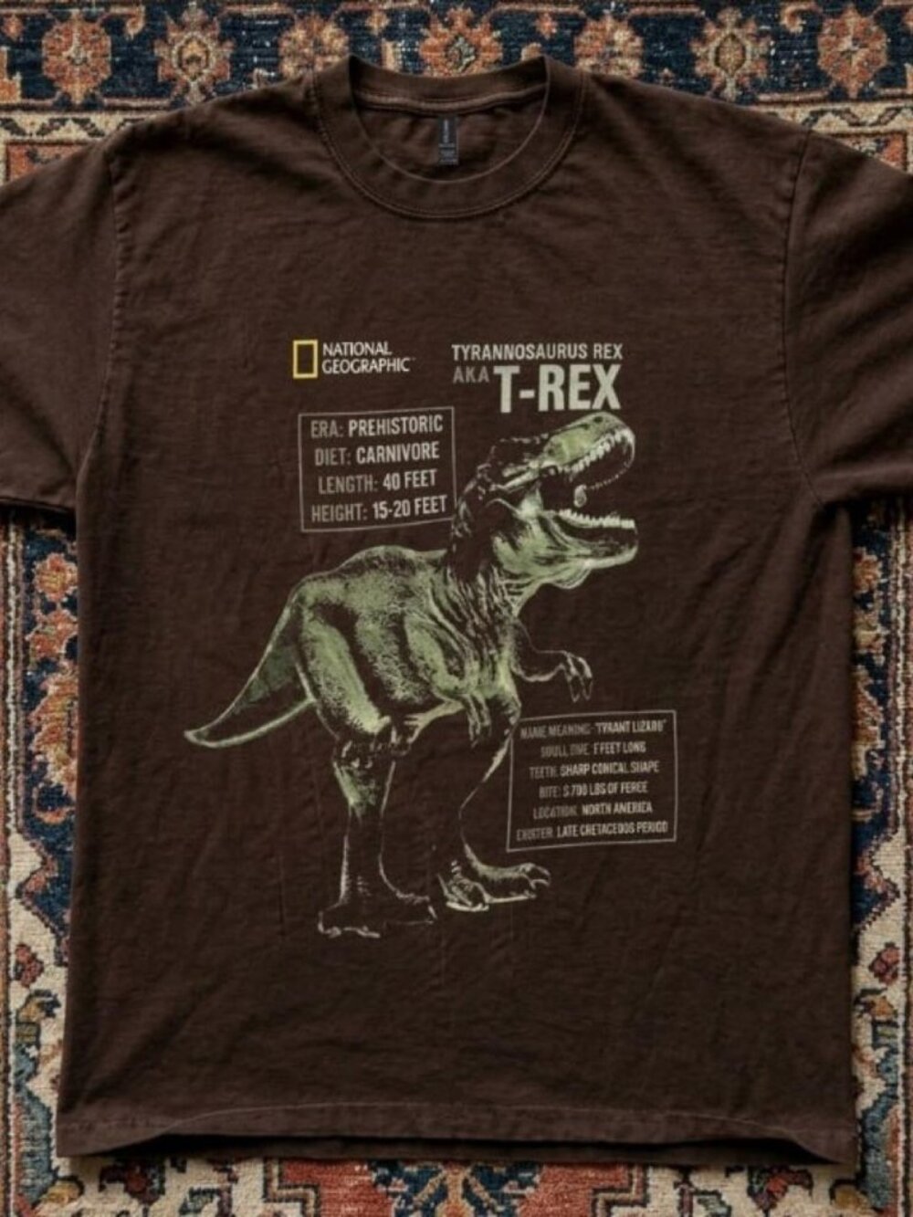 National Geographic T Rex Dinosaur Graphic T-Shirt Brown Prehistoric Jurassic Te